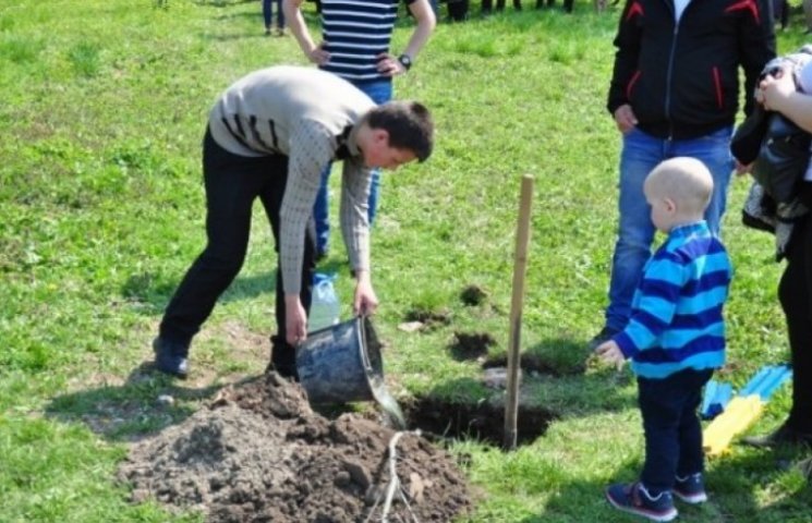 Черновчане будут сажать дубы в память о…