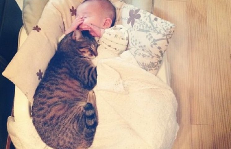 Як кіт з Японії обожнює спати з малюками…