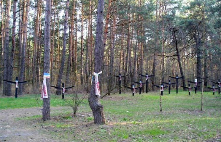 Биківнянський ліс хочуть забудувати, при…