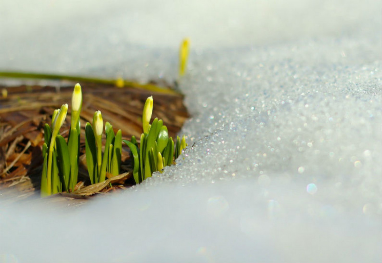 Прогноз на березень: Киян потішить весня…