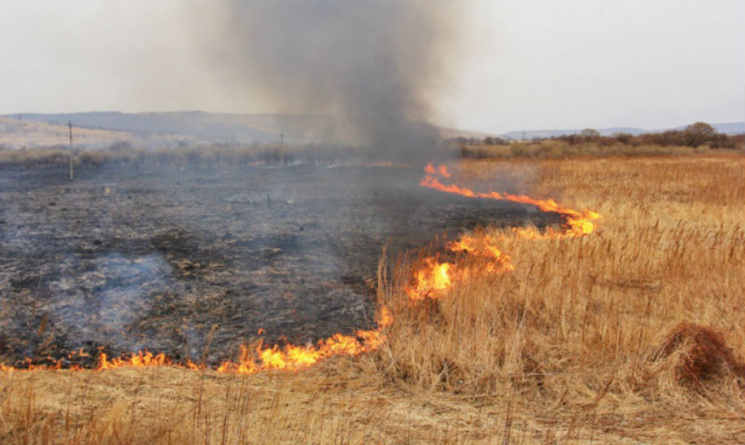 На околиці Києва палають луки…