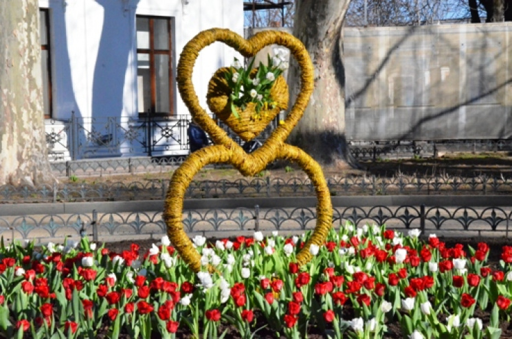 Одессу украсила первая весенняя цветочна…
