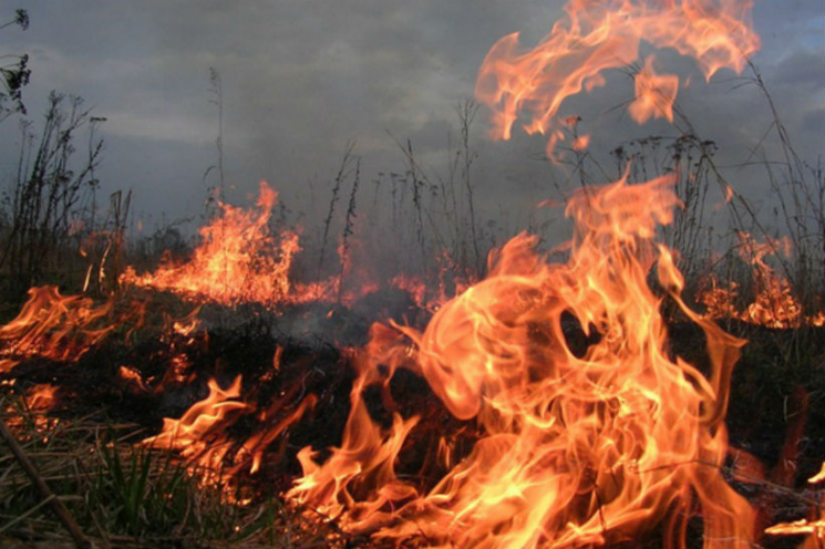 В Киеве горит прошлогодняя сухая трава…