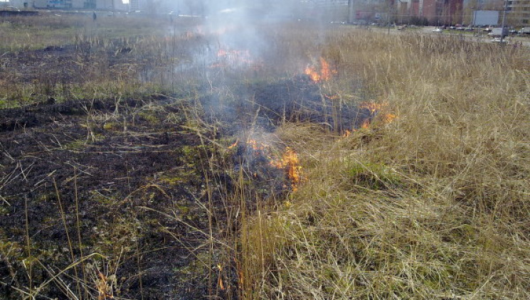 На околиці Харкова сталася дрібна пожежа…