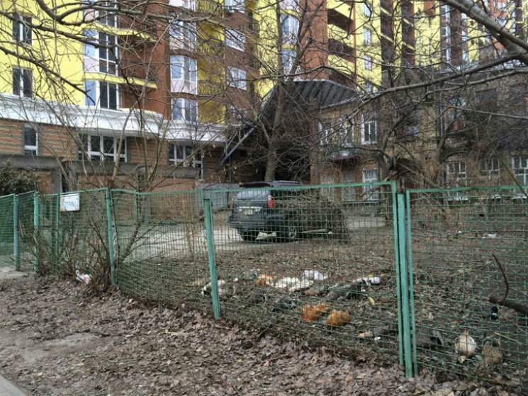 В центре Киева отравили уникальную колле…