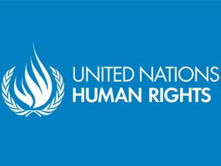 Совет по правам человека ООН проинформир…