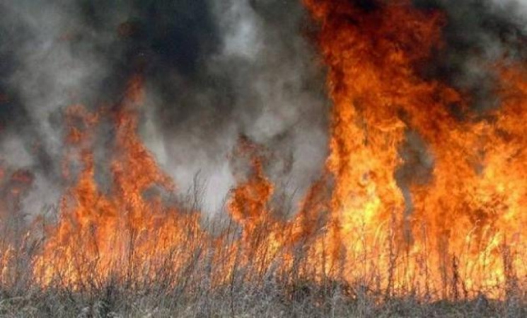 На Киевщине массово горит сухостой…