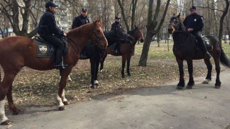 В Киеве лошадь конной полиции сбила женщ…