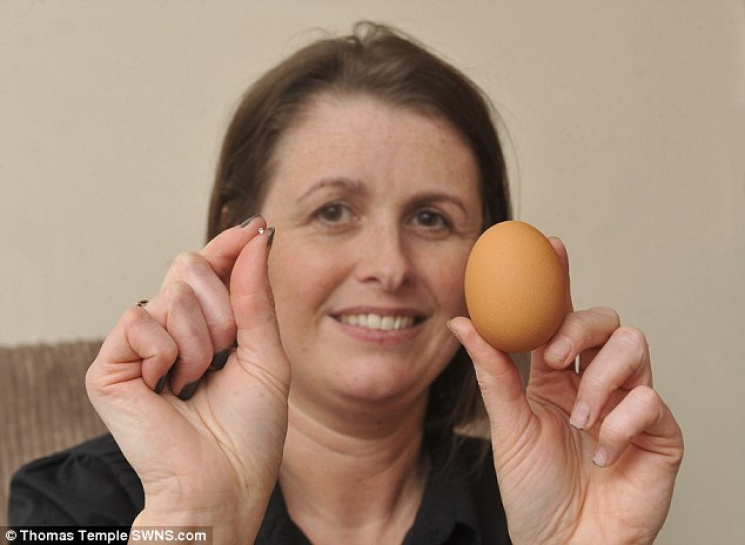 У Британії курка почала нести яйця з діа…