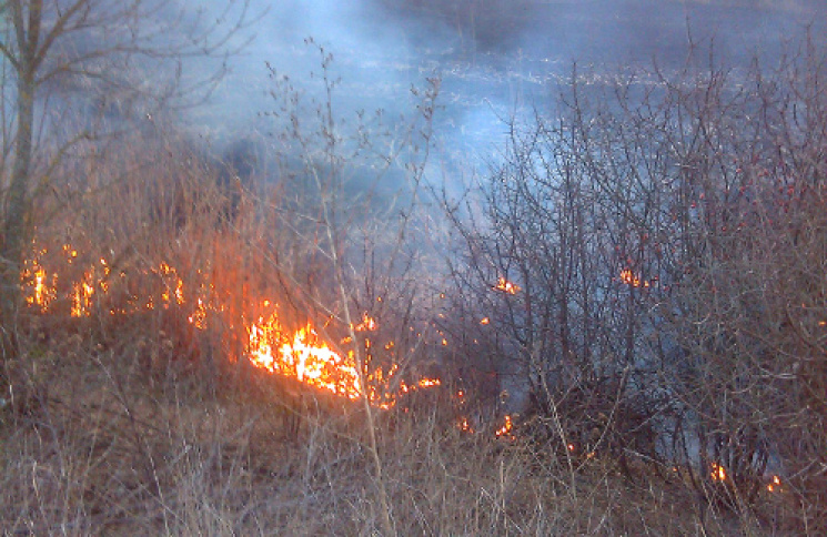 На Тернопільщині вигоріло 2 гектари сухо…