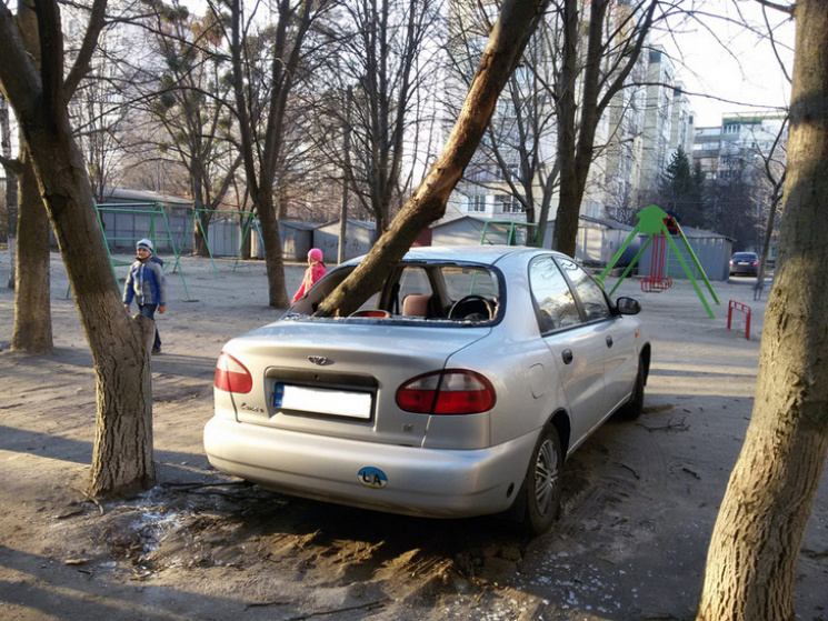 У Полтаві на автівку звалилось дерево…