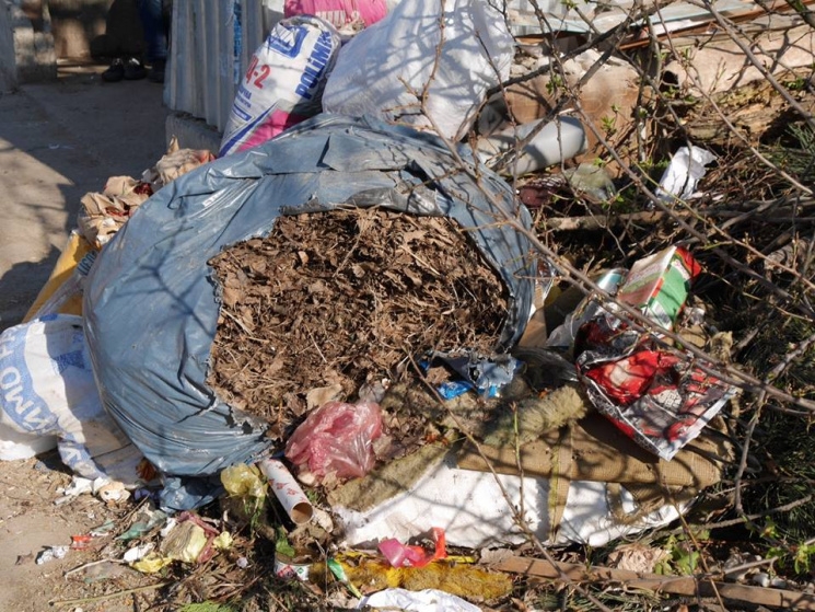 В Ужгороді комунальники розсипають отрут…
