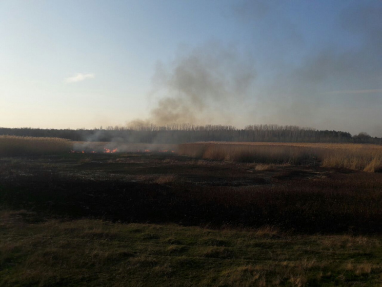 Миколаївщина у вогні: пожежі знищили ще…