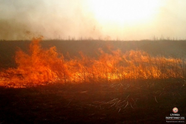Тернопільщину охопили пожежі в екосистем…