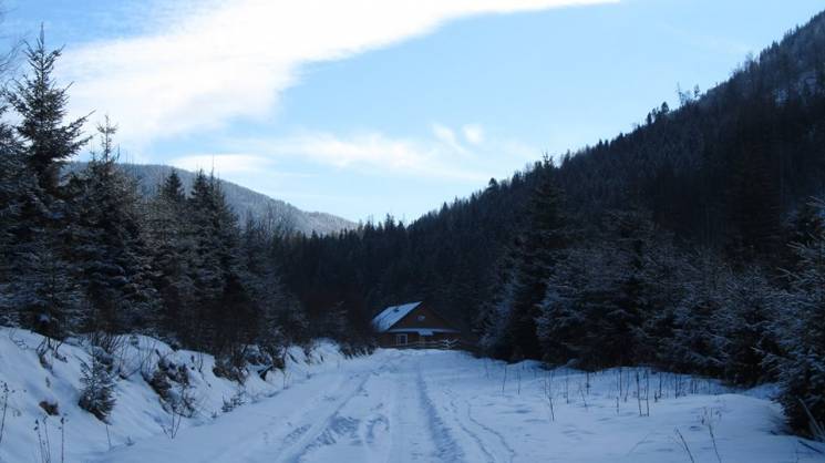 Які краєвиди відкриваються у сонячний сніжний день на гірському хребті Ґорґан (фоторепортаж)