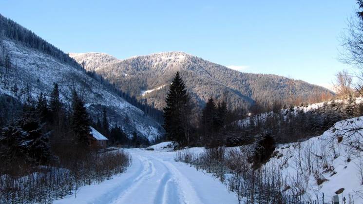 Які краєвиди відкриваються у сонячний сніжний день на гірському хребті Ґорґан (фоторепортаж)