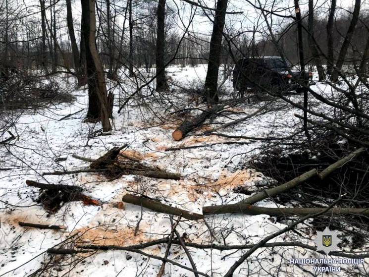 На Харківщині чоловік знищив дерев на 10…