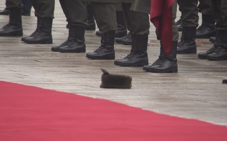 Военный потерял шапку во время приветств…