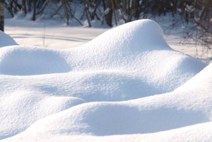 На Київ суне сніговий шторм: 15-сантимет…