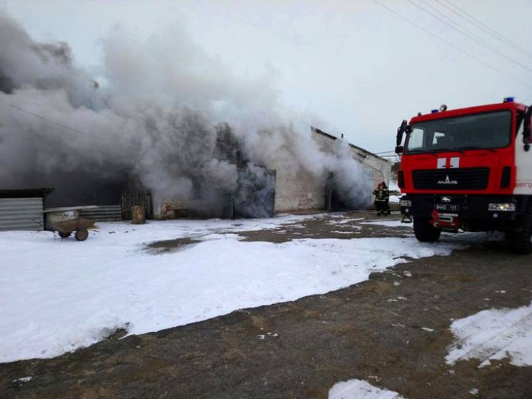 Миргородські рятувальники гасили пожежу…
