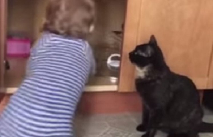 Вусатий нянь: Як кіт нахабно зачинив мал…