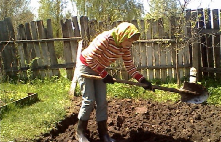 Можно ли копать огород на Проводную неде…