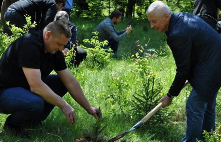 На Ужгородщині висадили дерева на честь…