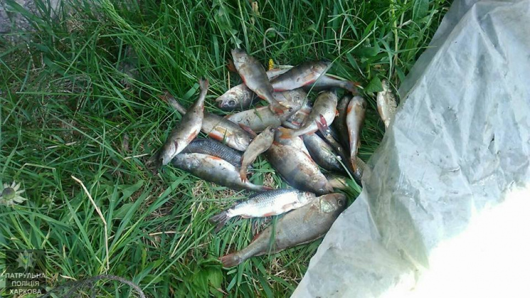 На Журавлівці спіймали підпільного рибал…