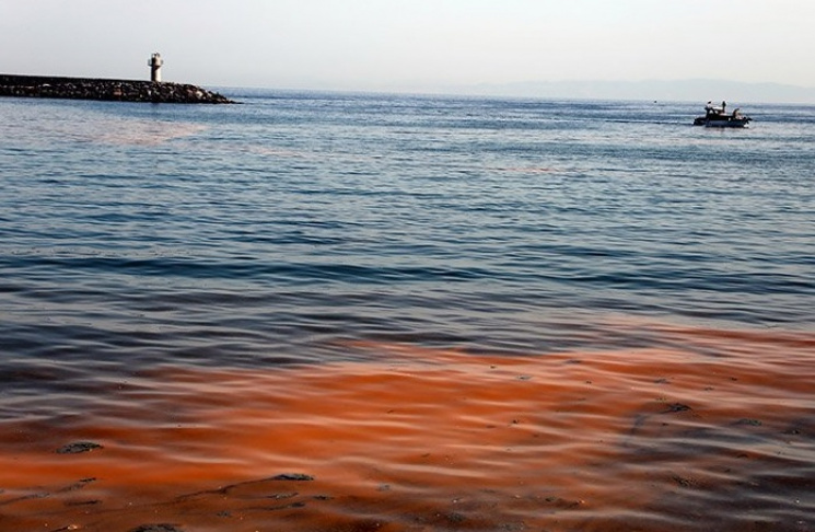 Мармурове море раптово стало помаранчеви…
