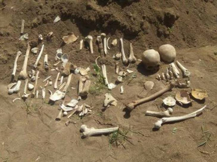 В Полтаве нашли человеческие останки…