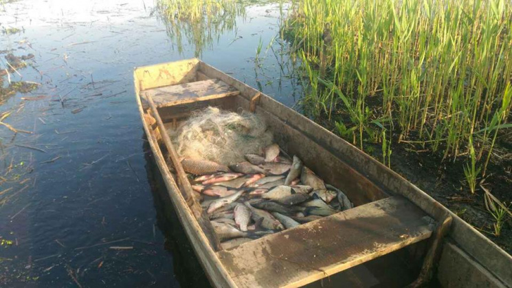 На Полтавщині рибі немає спокою від брак…