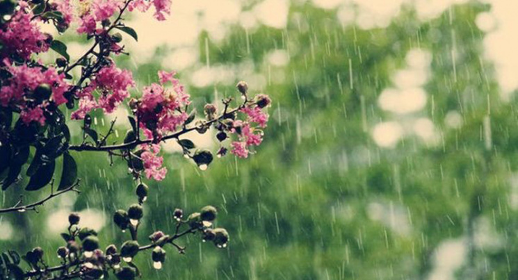 Чому восьмого травня треба радіти дощу,…