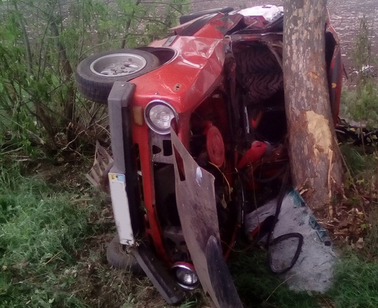На Миколаївщині автівка влетіла в дерево…