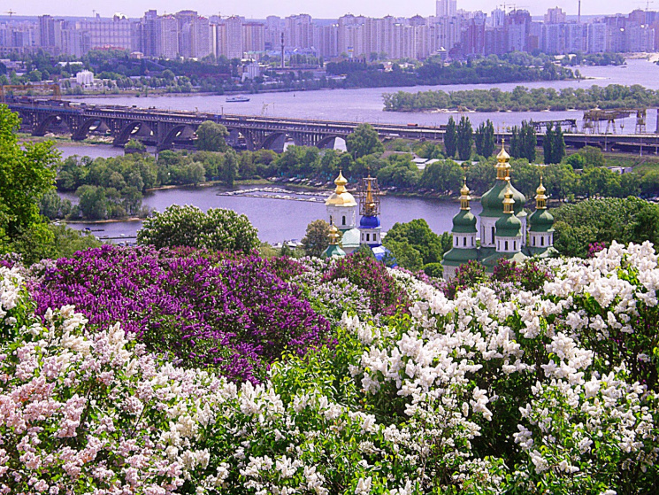 Удивительная красота: Как весенний Киев…