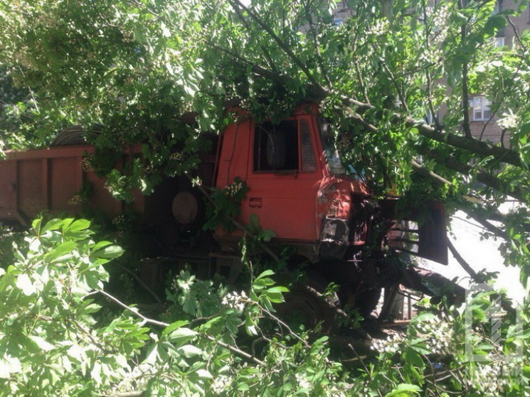 В Кривом Роге грузовик снес дерево и вре…