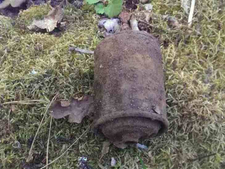 На Сумщині знайшли застарілу гранату та…