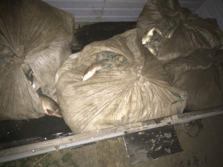 На Одесчине браконьеры выбросили почти 2…