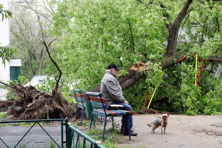Ураган у Москві: 13 загиблих, 140 постра…