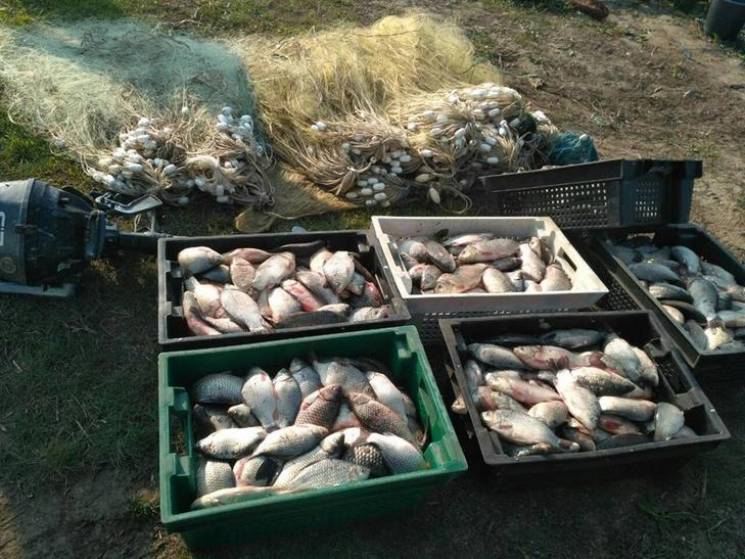 У Чорноморську браконьєри наловили риби…