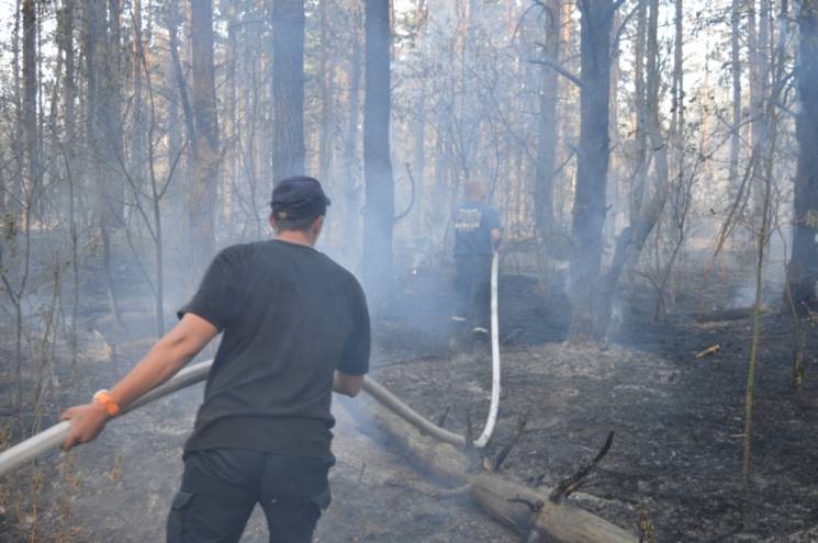 На Чернігівщині лісову пожежу гасили за…
