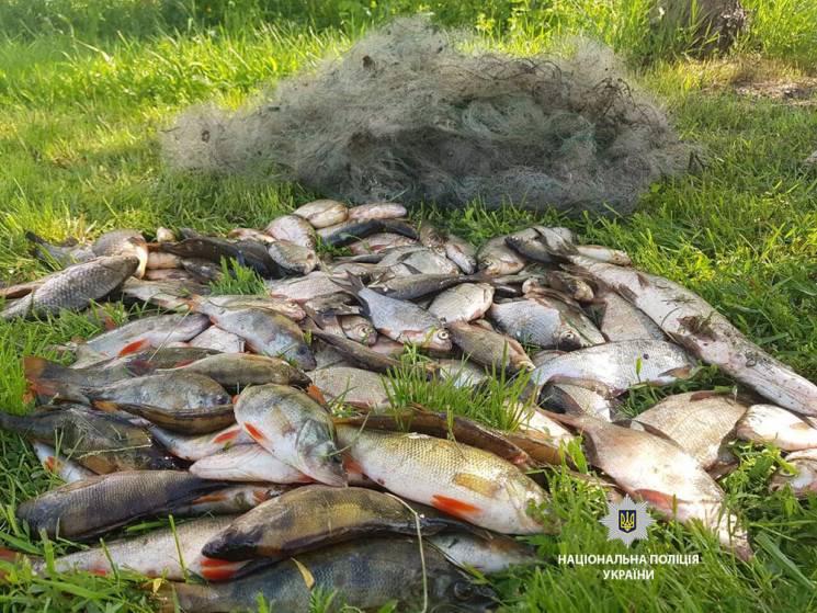 На Полтавщині браконьєр наловив 24 кг ри…