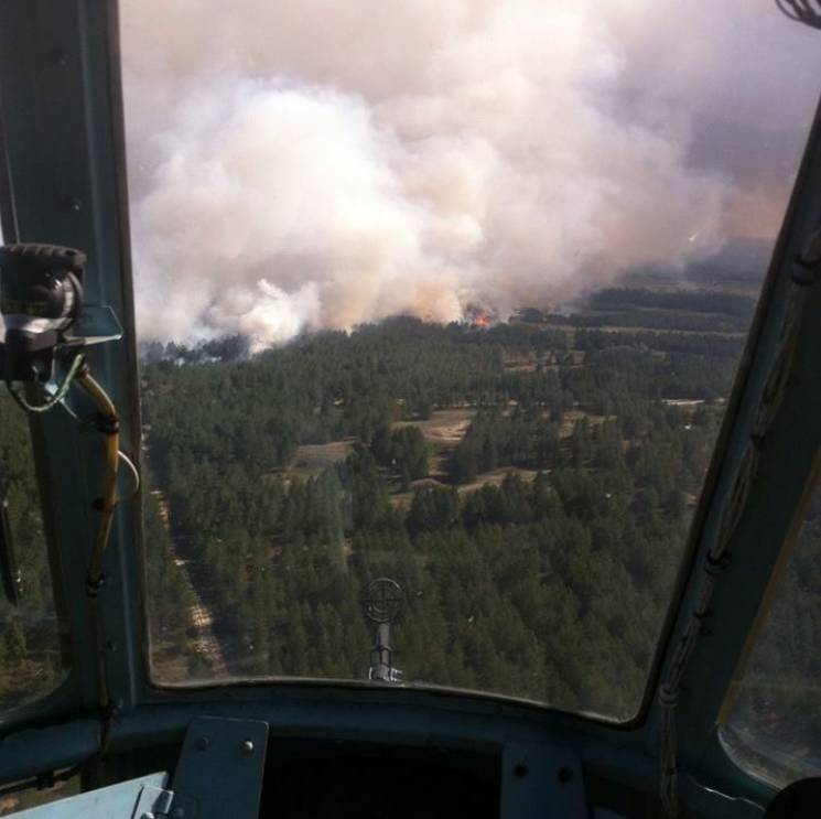 Лесной пожар на Херсонщине: Огонь уничто…