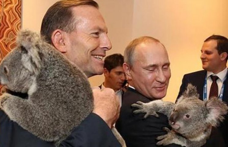 Путин в Австралии обнимался с коалой. Сб…