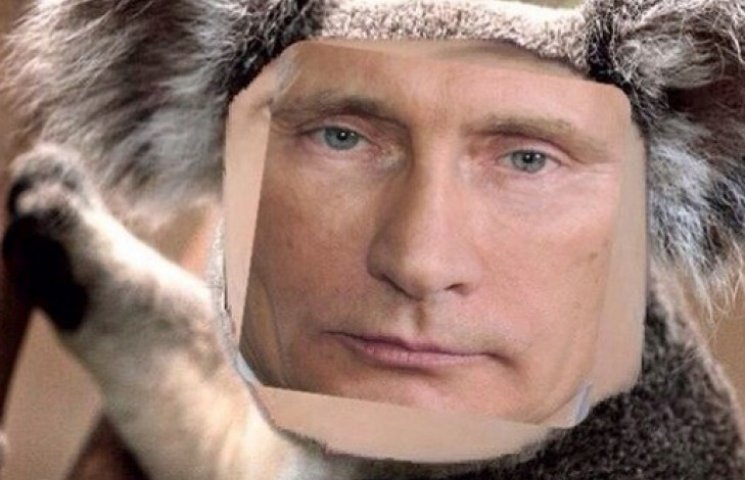 Плохая карма Путина: стерх, тигр Кузя...…