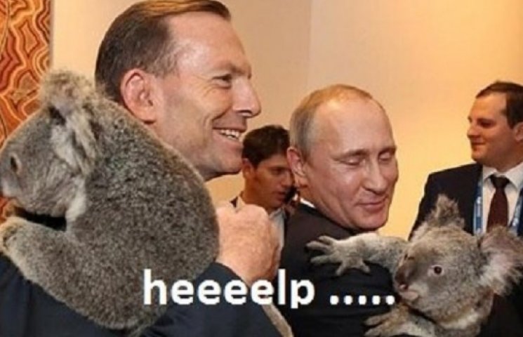 «Обнимашки» Путина с коалой жестко высме…