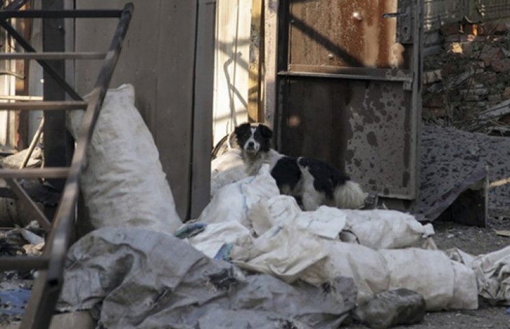 В Донецке всю ночь гремели взрывы…