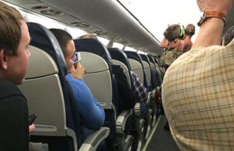 В США пассажирку сняли с самолета из-за…