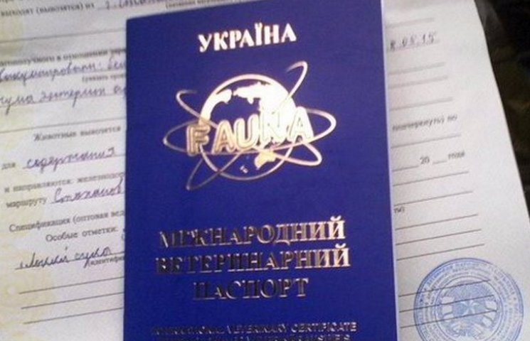 В "ЛНР" выдают украинские паспорта для ж…