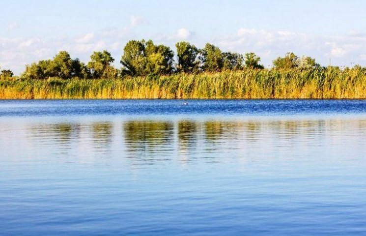Річку Дніпро очищатимуть мальками товсто…
