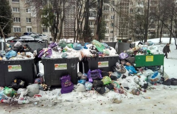 Как Садовый кормит птиц мусором во Львов…